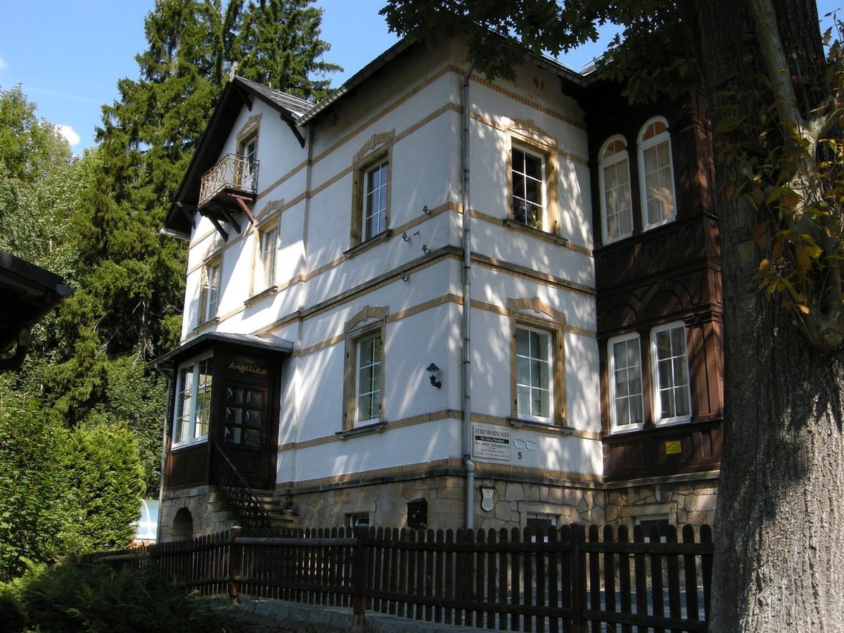 Villa Angelika Altenberg Buitenkant foto
